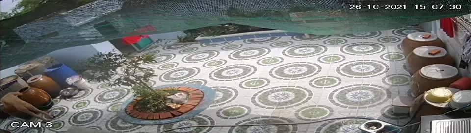 Preview for Video 83823