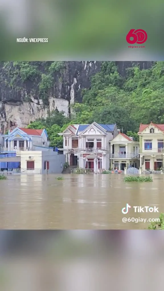 Preview for IMG 8219